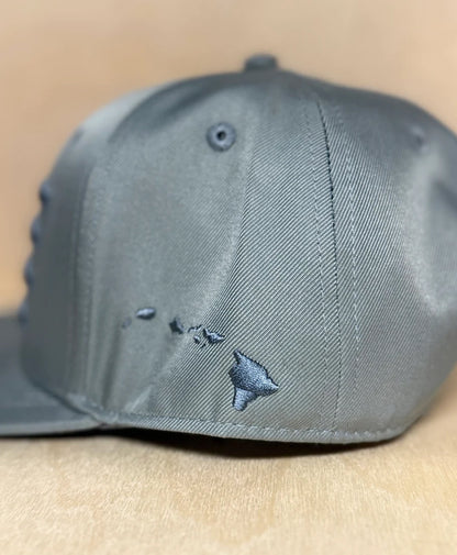Hae Hawai'i 3D Puff Snapback Grey on Grey