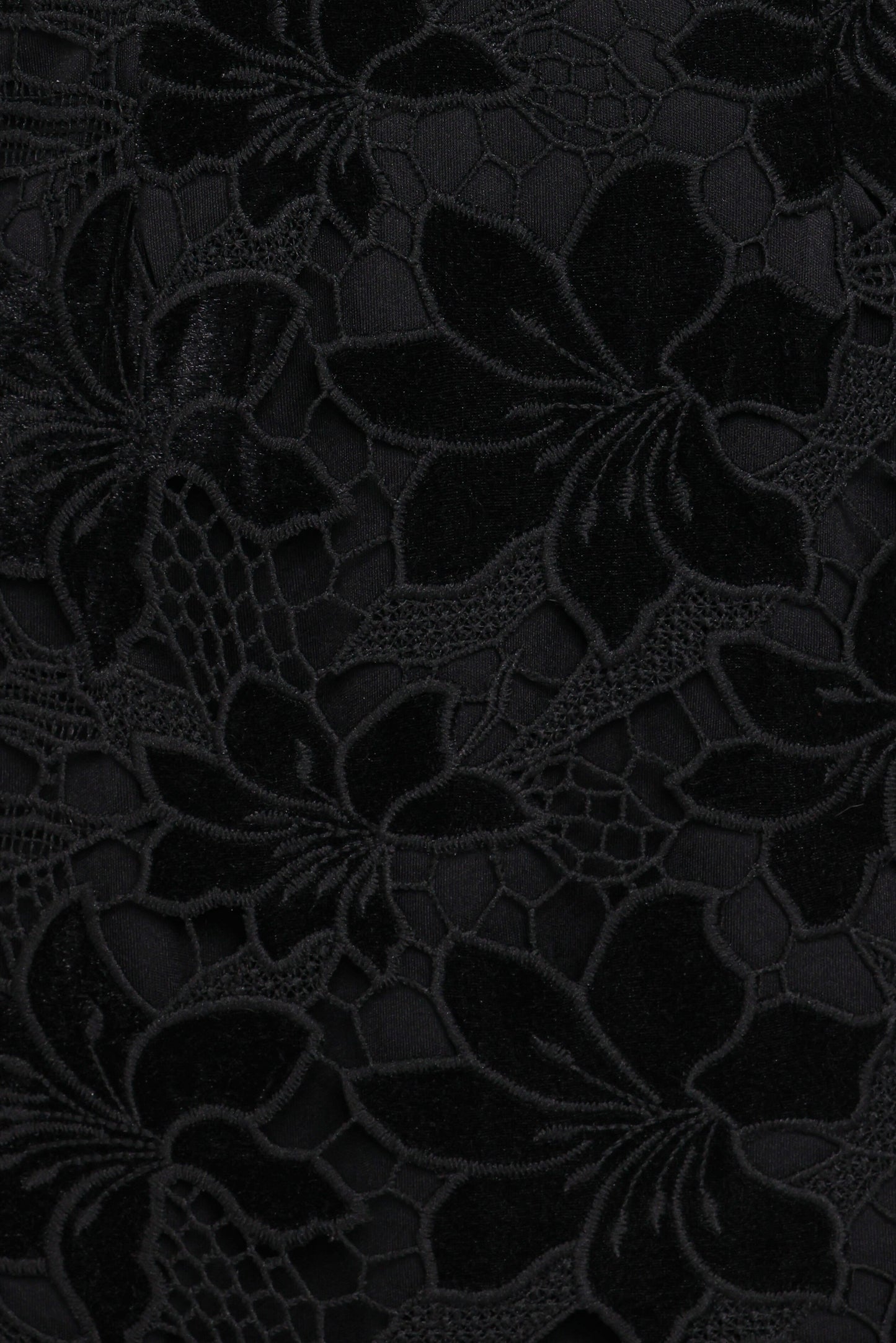 Cynthia Velvet Lace Mini Dress - Black